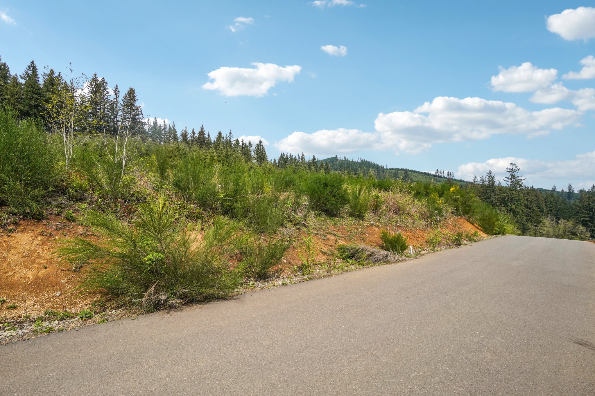 High Bank Ln-S1804-029.jpg