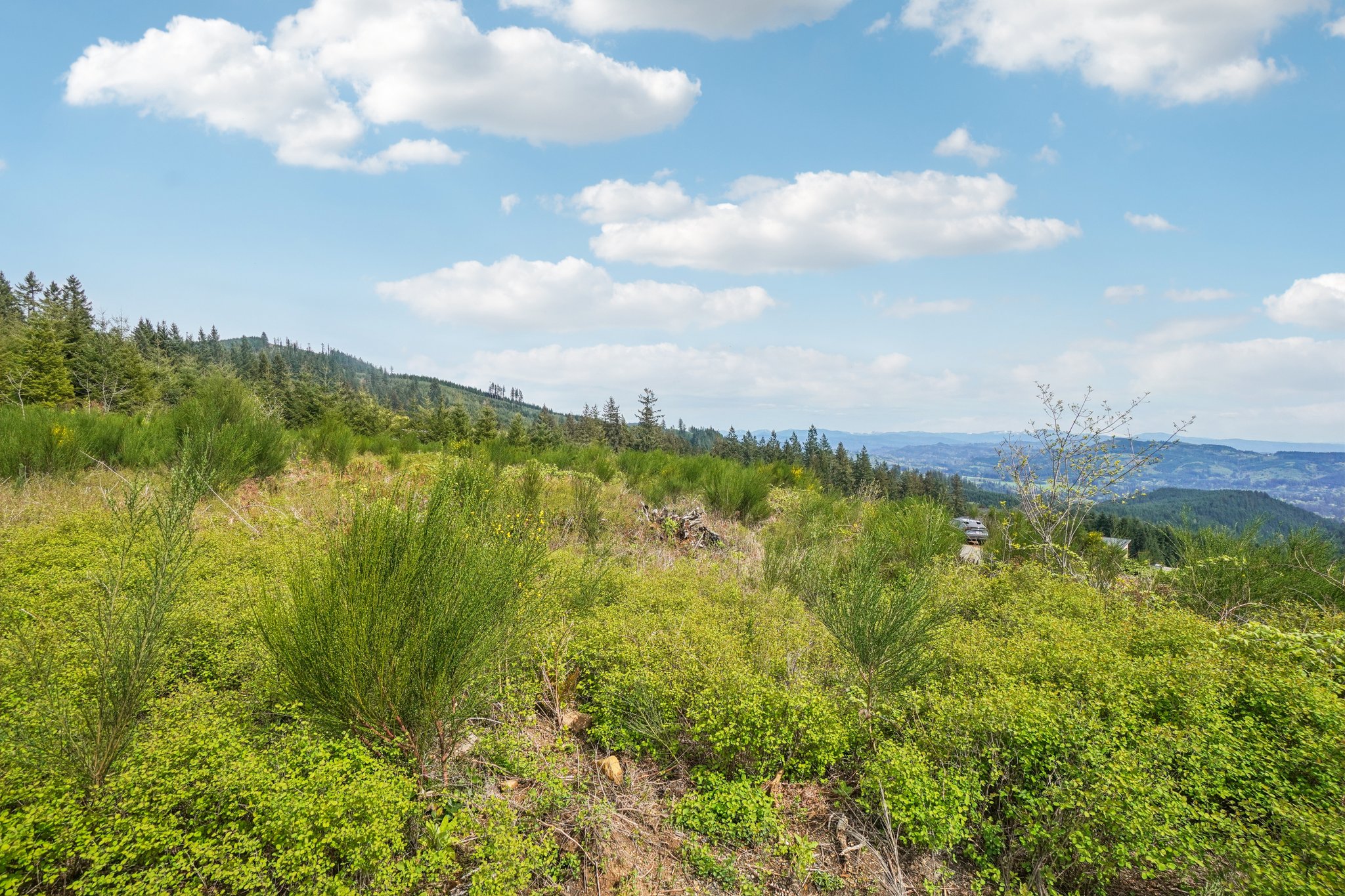 High Bank Ln-S1804-030.jpg