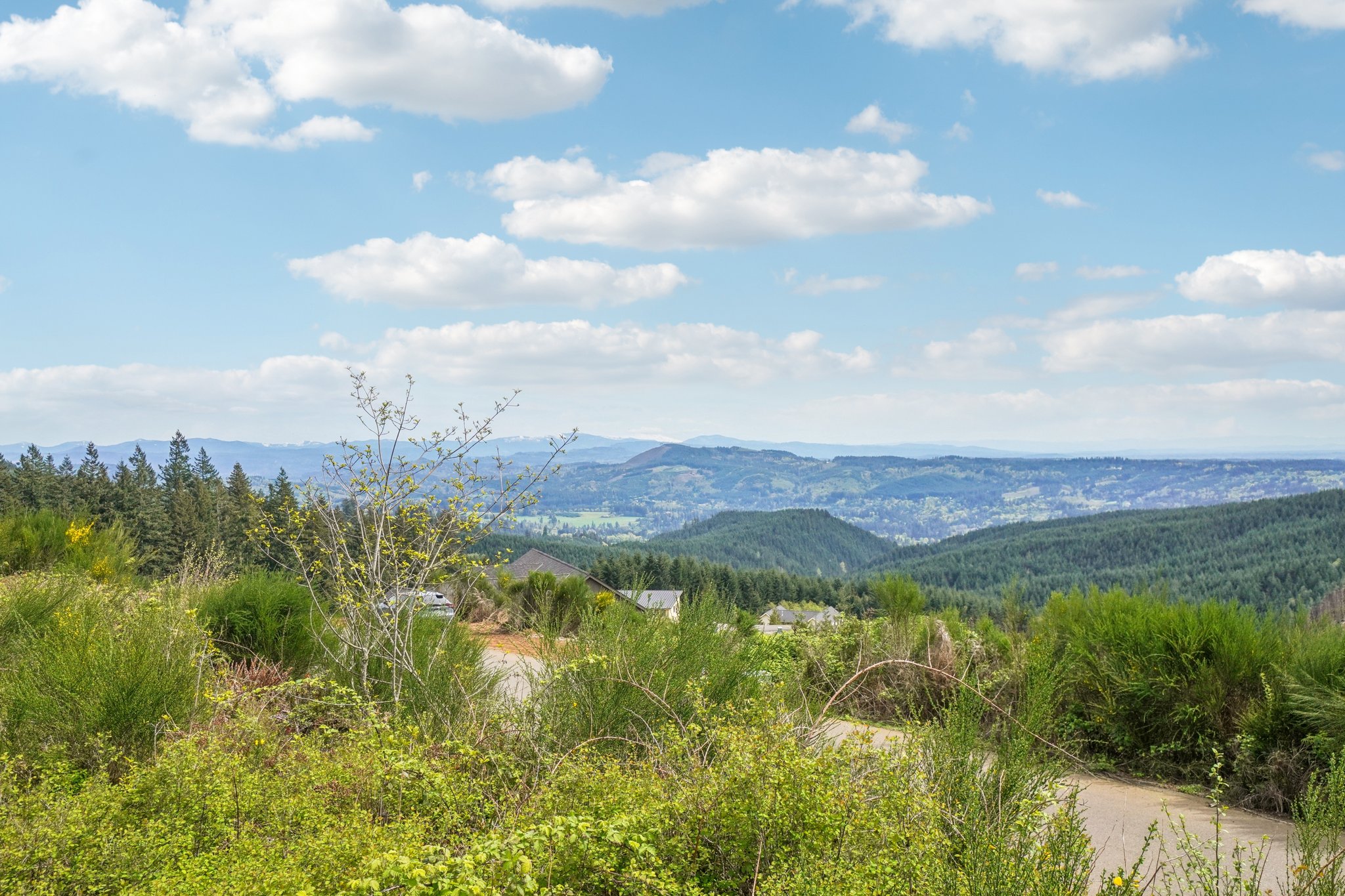 High Bank Ln-S1804-032.jpg