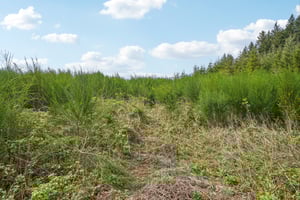 High Bank Ln-S1804-004.jpg