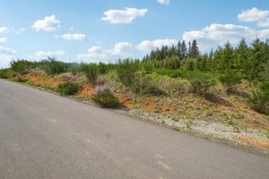 High Bank Ln-S1804-006.jpg