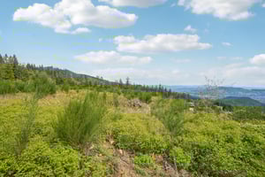 High Bank Ln-S1804-030.jpg