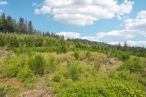 High Bank Ln-S1804-033.jpg