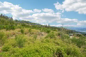 High Bank Ln-S1804-034.jpg