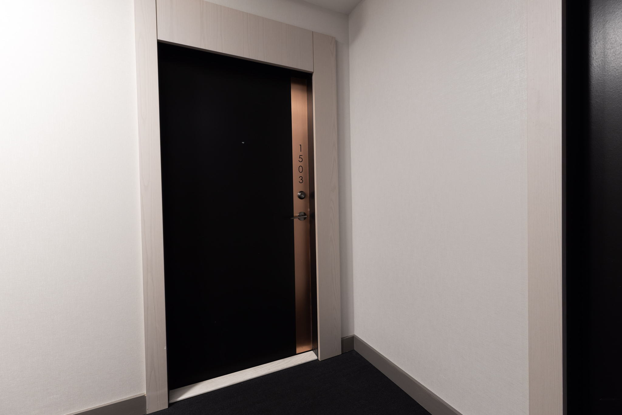 Toronto property showcase — delivered property photograph 25
