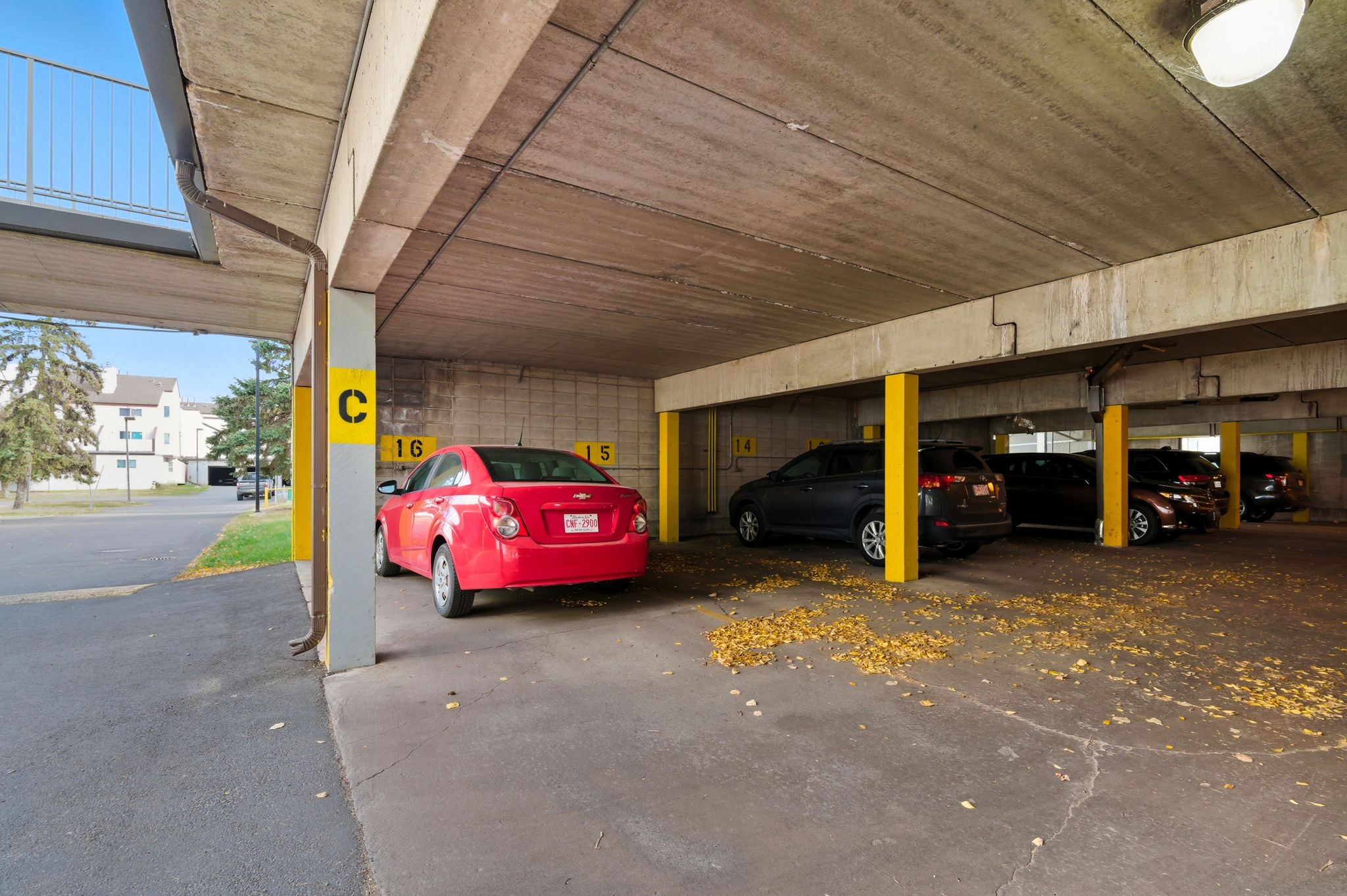  Photo 41