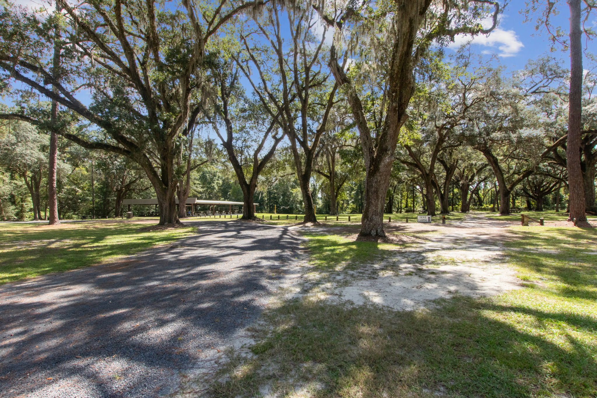 Community Area