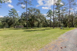 Community Area