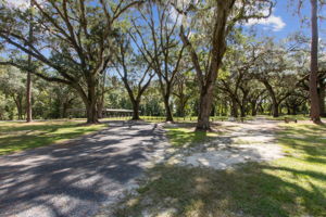 Community Area