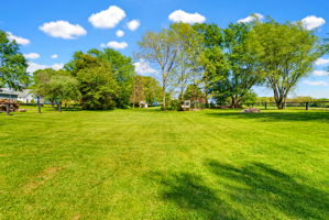  Photo 45