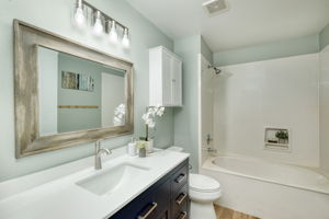 Hall Bathroom