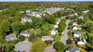  Photo 59