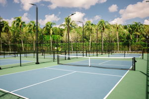 18124 Via Portofino Way, Miromar Lakes, FL 33913, USA Photo 51