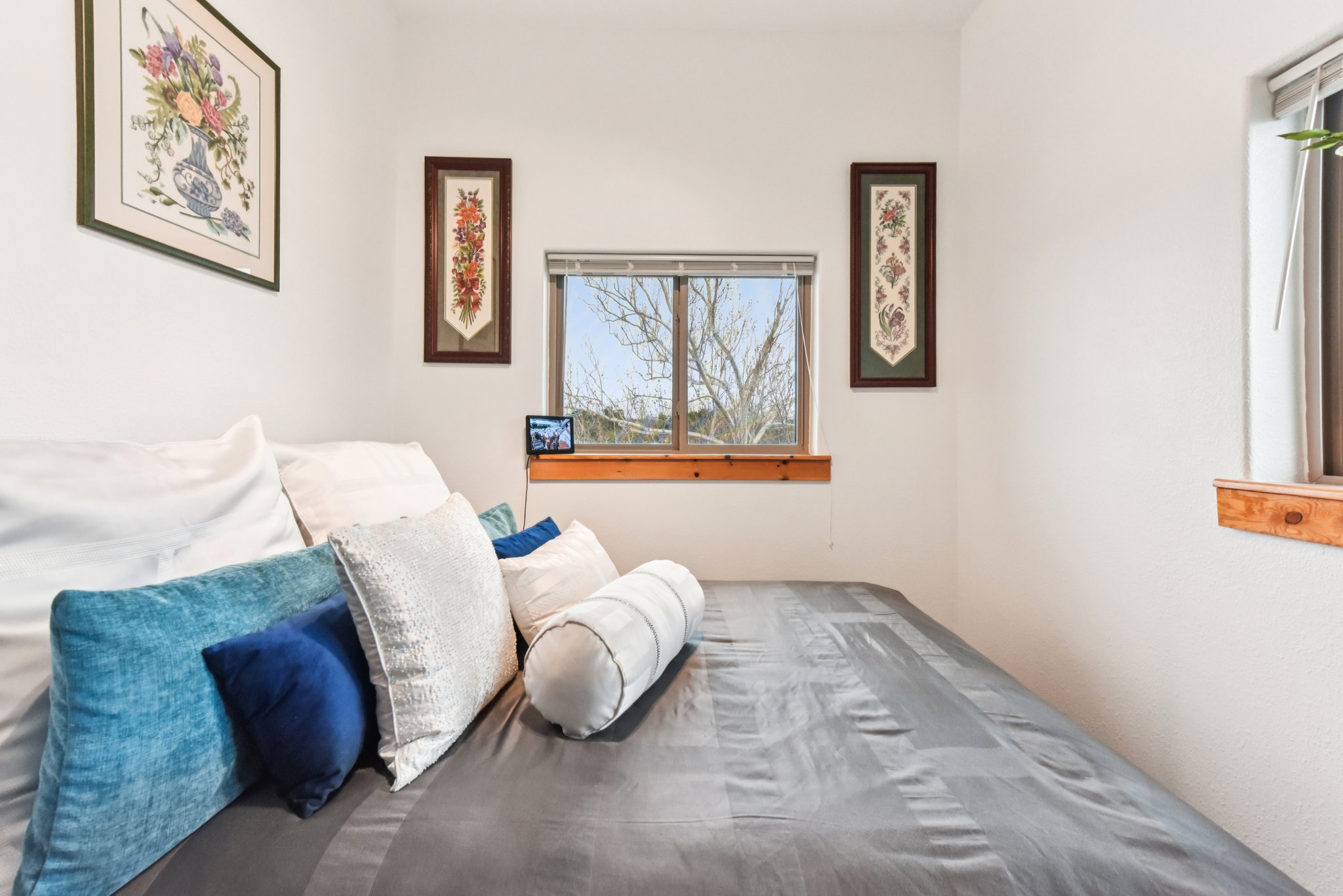 Graveyard Point Rd-S1001-026.jpg