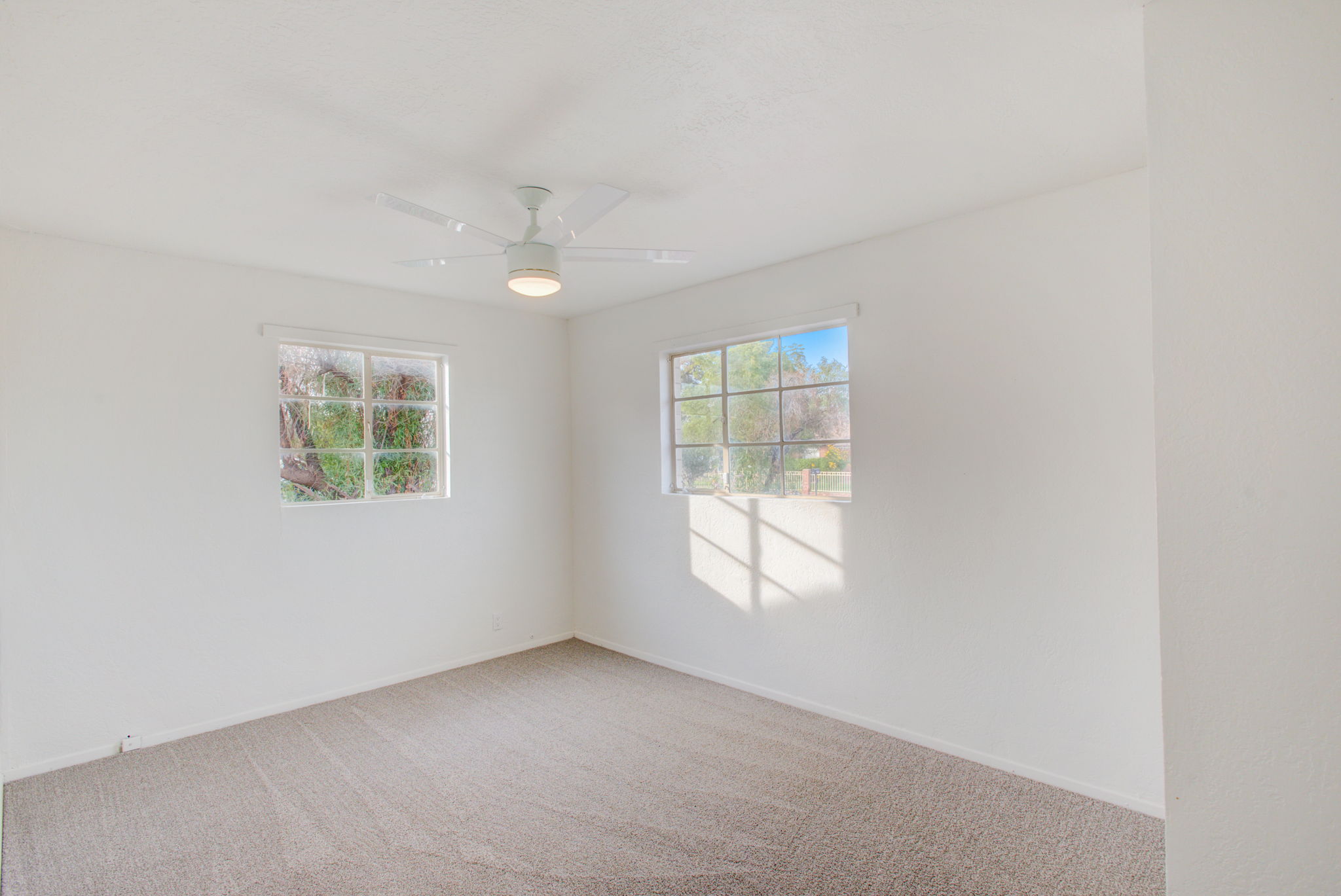 E Lynne Ln-015
