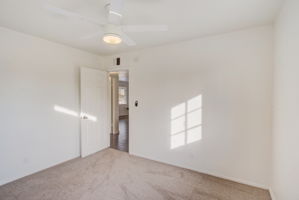 E Lynne Ln-014
