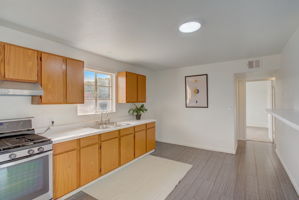 E Lynne Ln-007