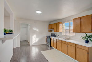 E Lynne Ln-008