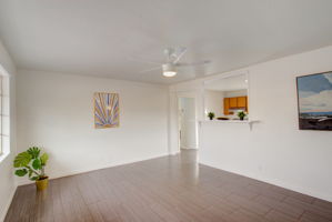 E Lynne Ln-004