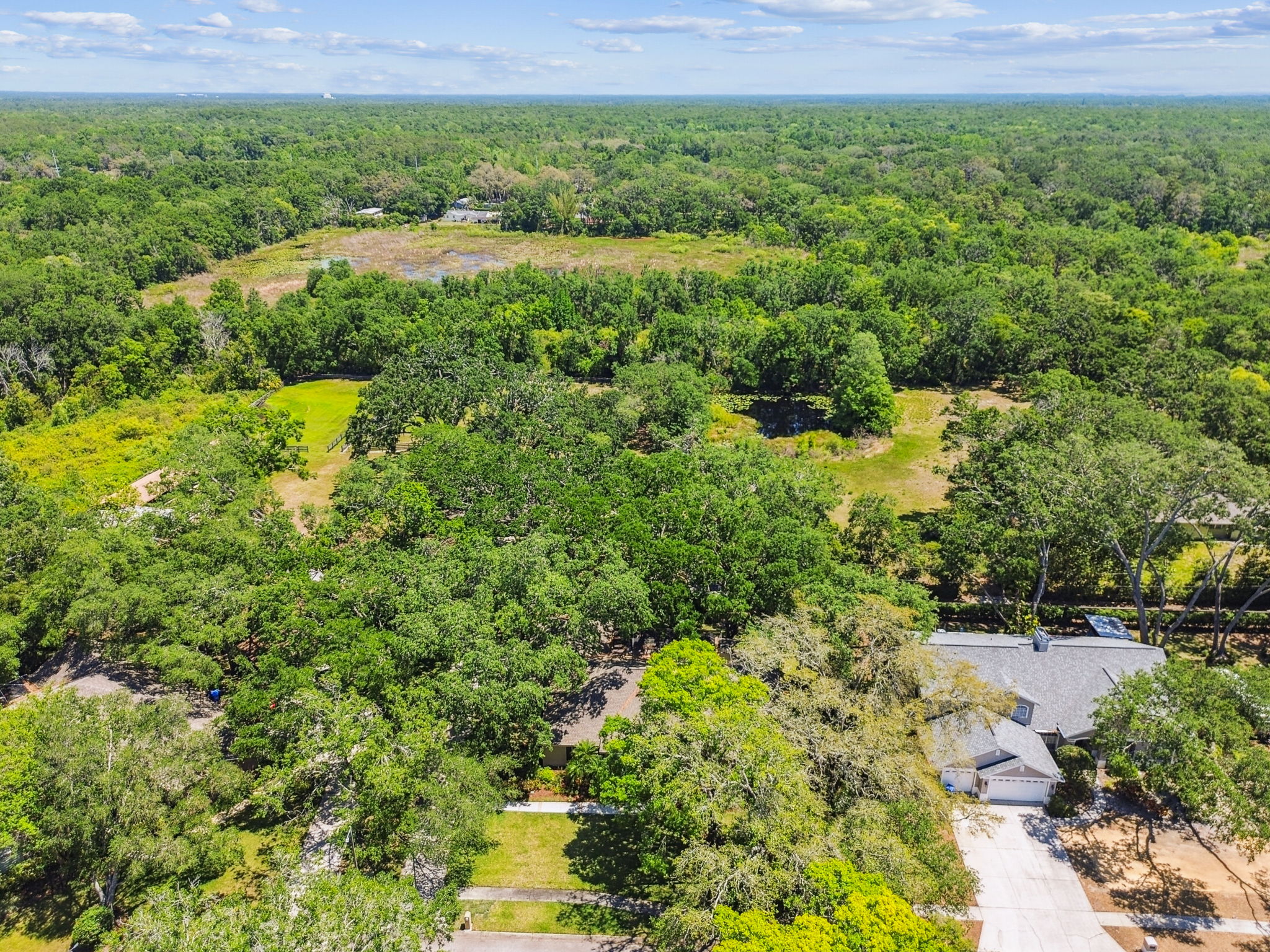 DJI_0229