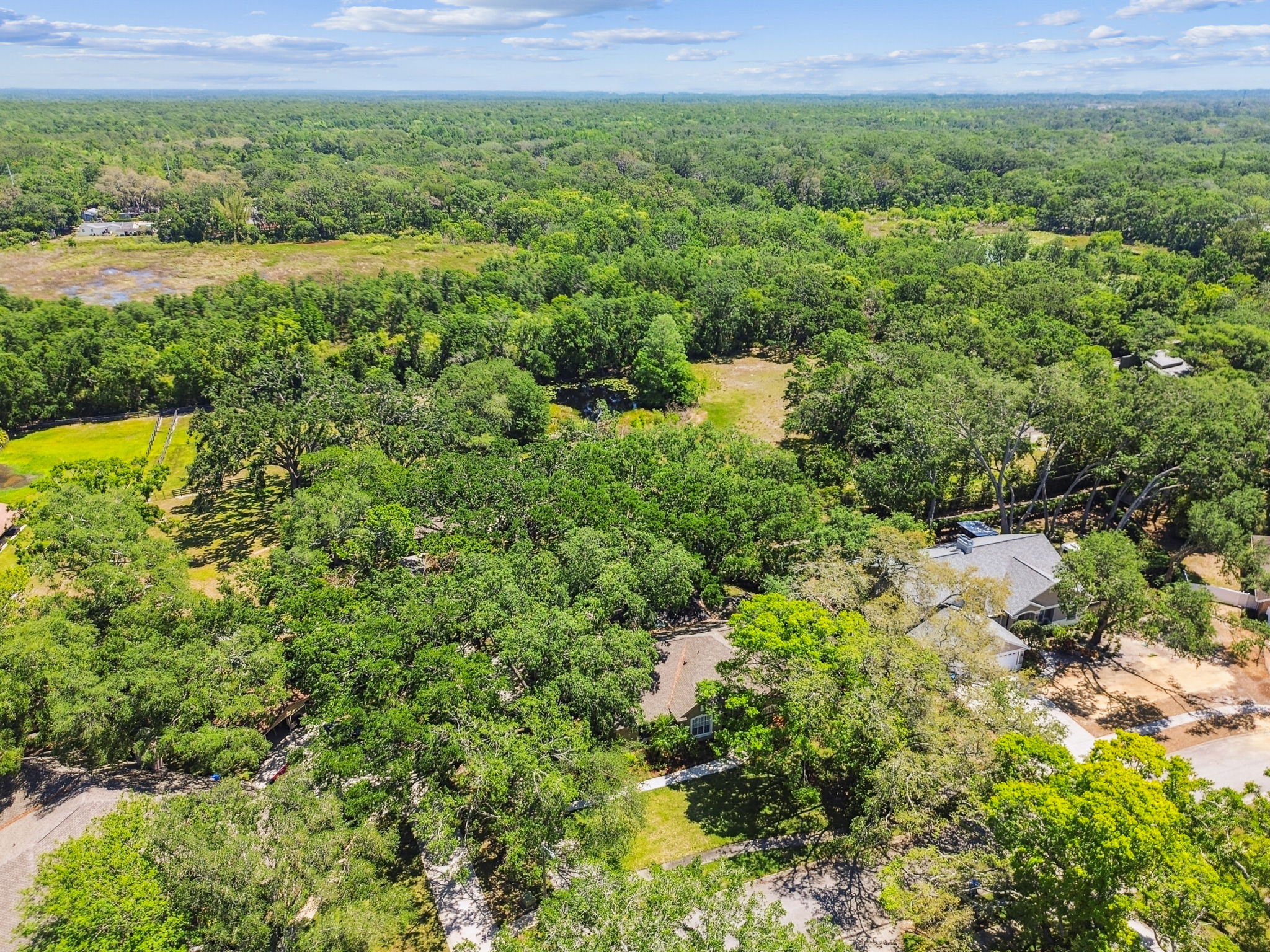 DJI_0232