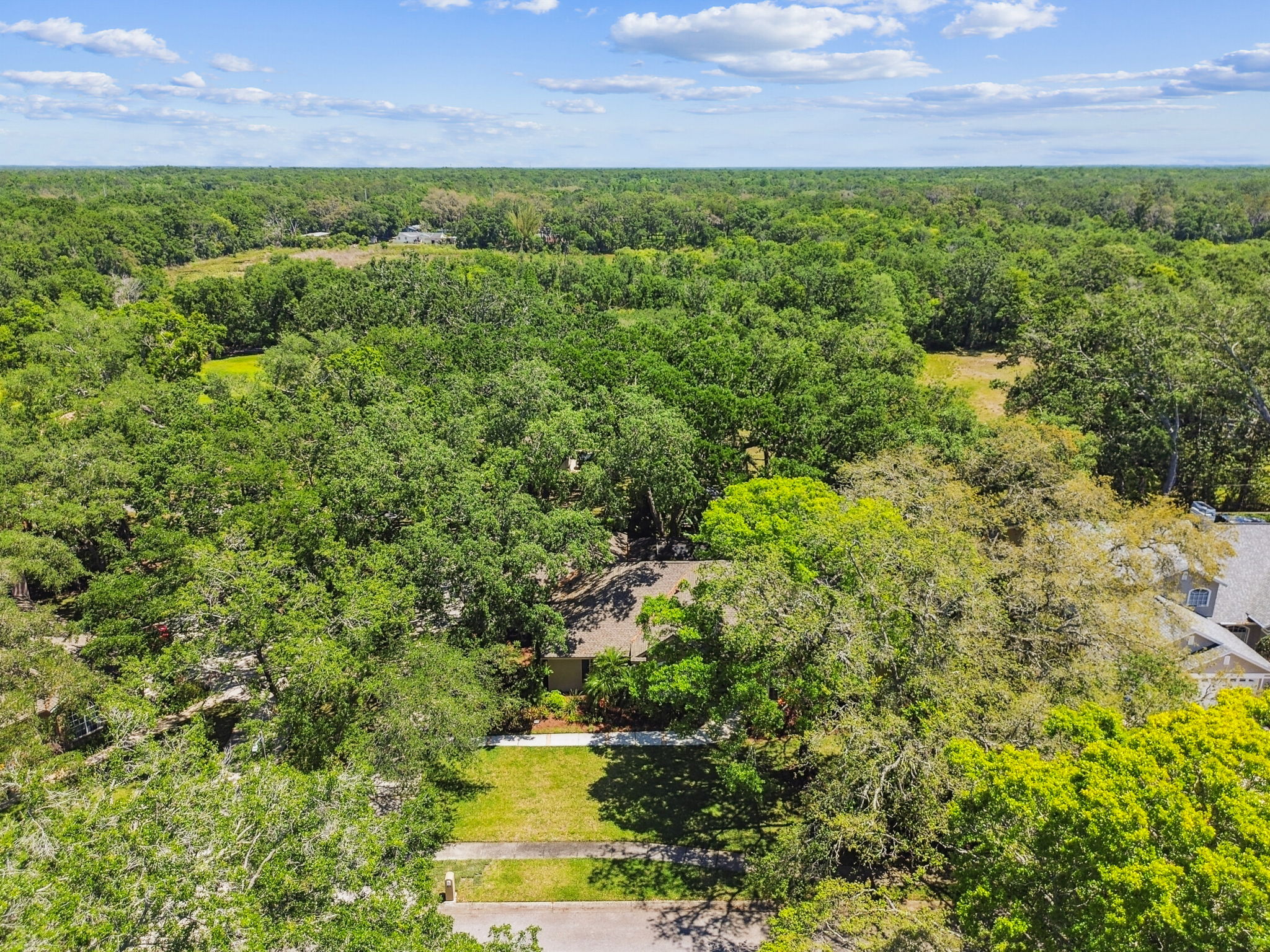 DJI_0238