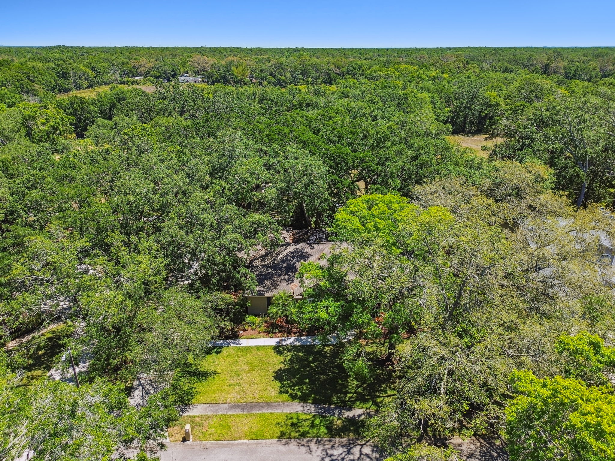 DJI_0385