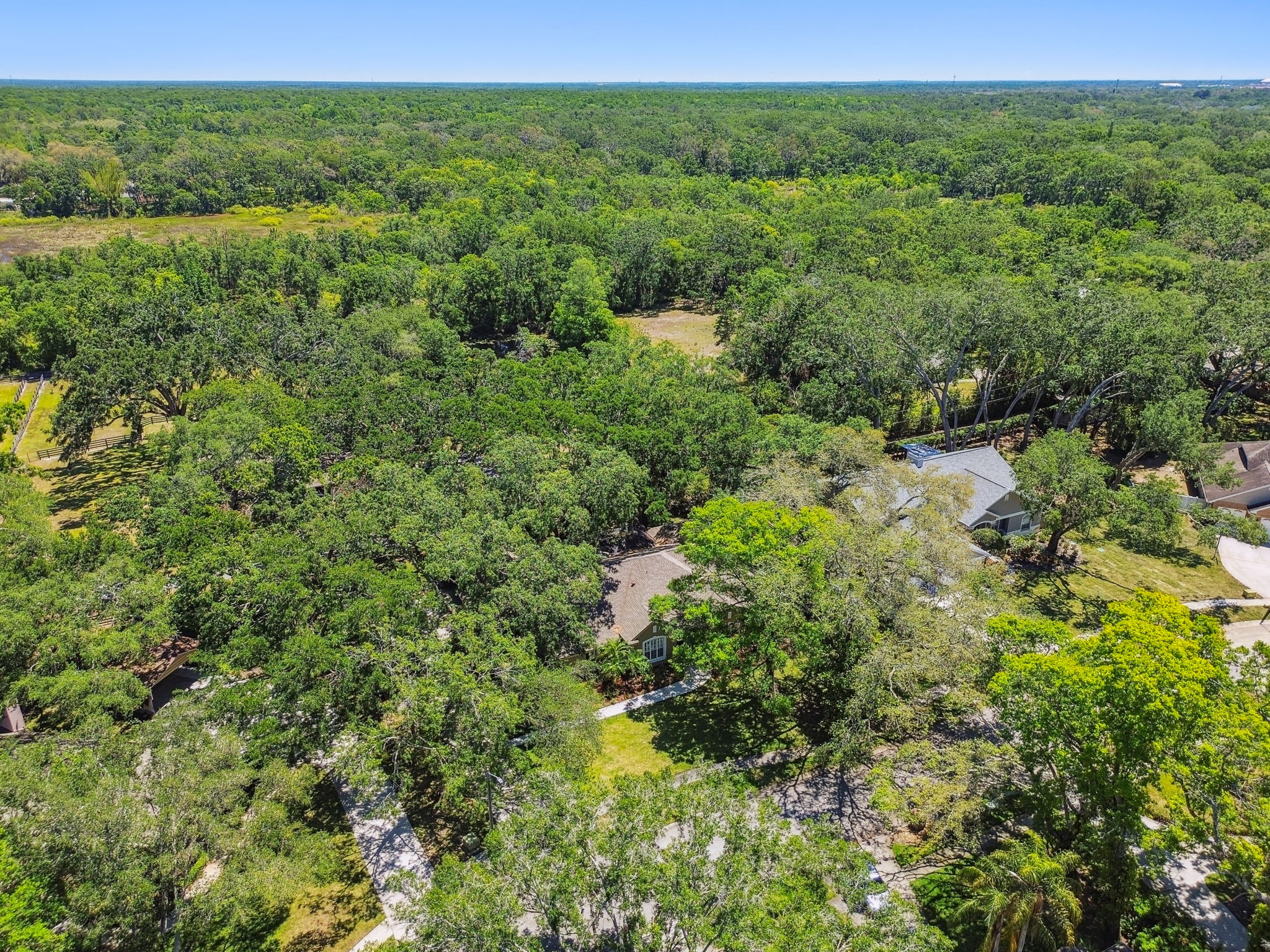 DJI_0397