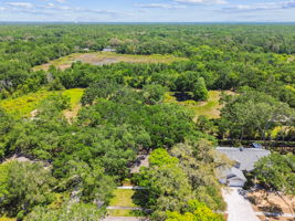 DJI_0229