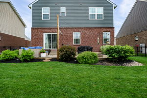 Photo 49