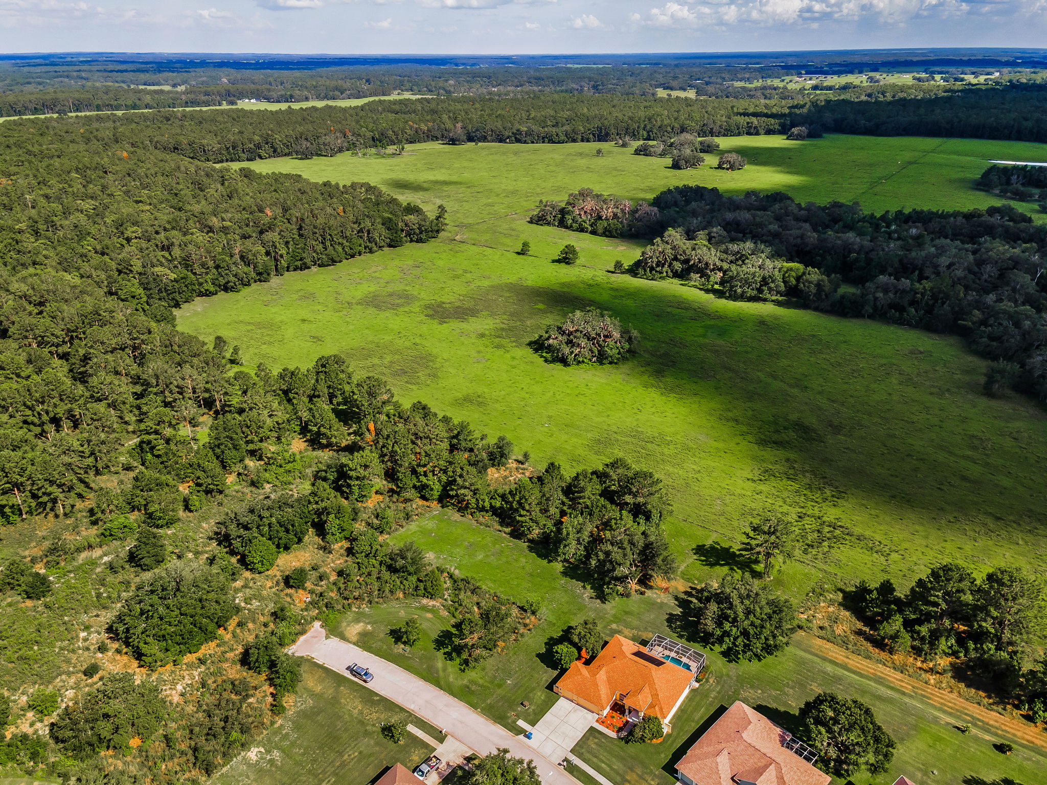Aerial (19)