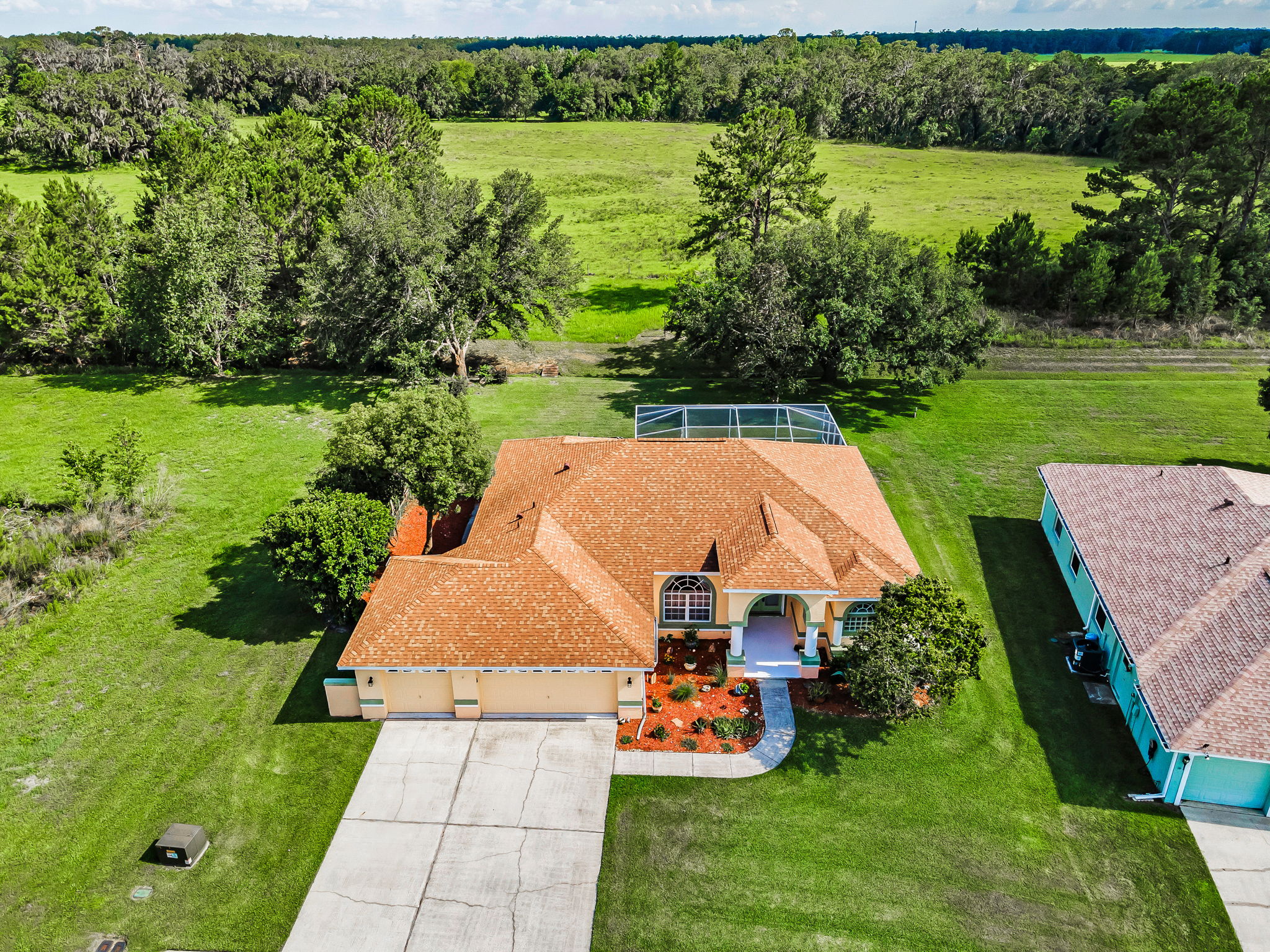 Aerial (20)