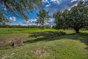 Backyard2