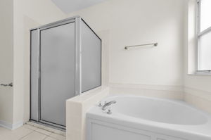 Lower Level Primary Bathroom 1b