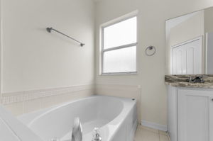 Lower Level Primary Bathroom 1c