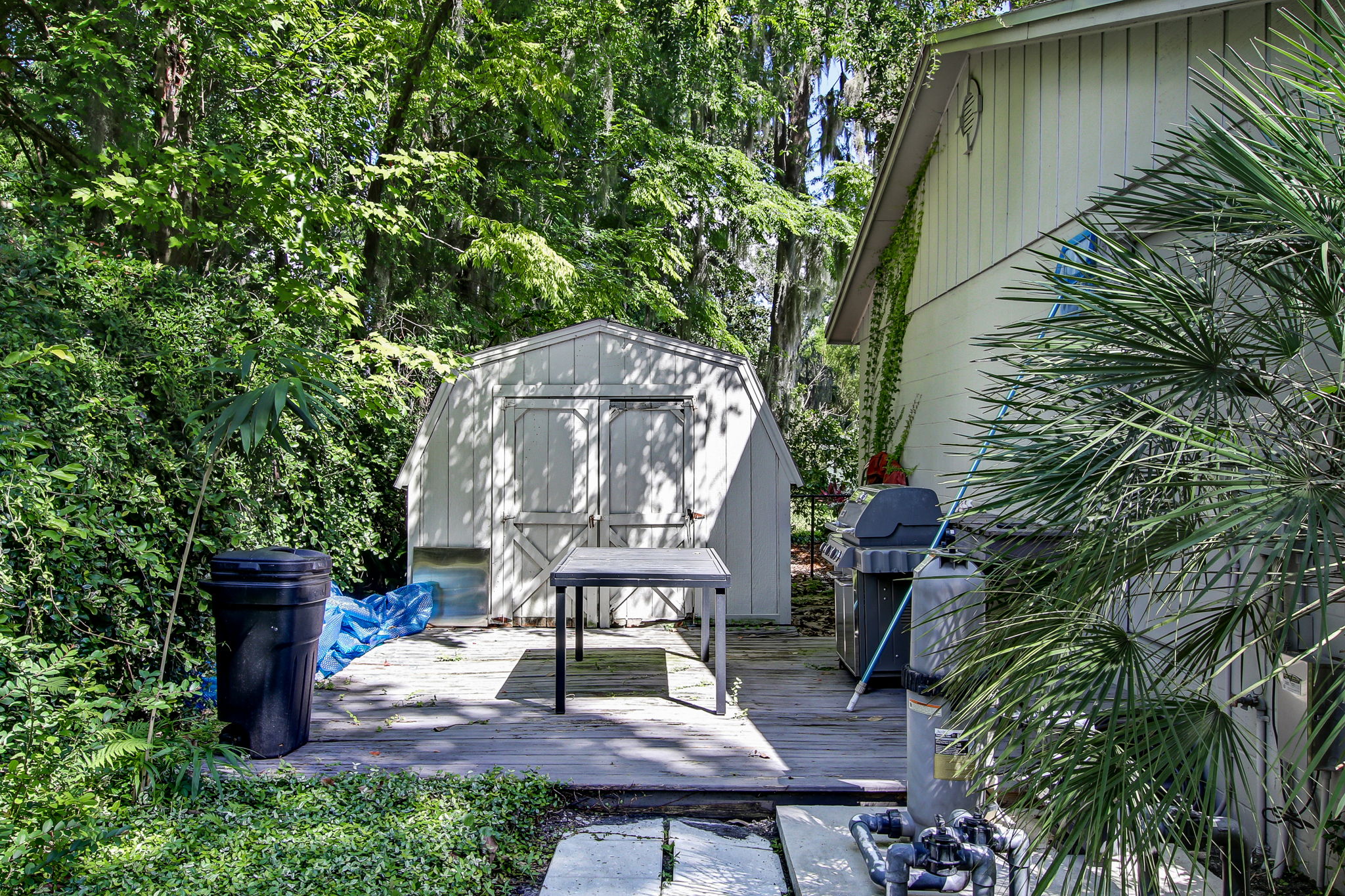 Backyard