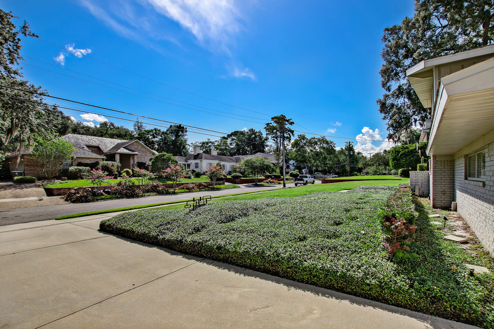 Front Yard