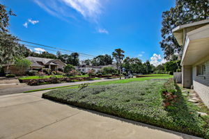 Front Yard
