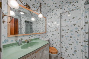 Bathroom Downstairs
