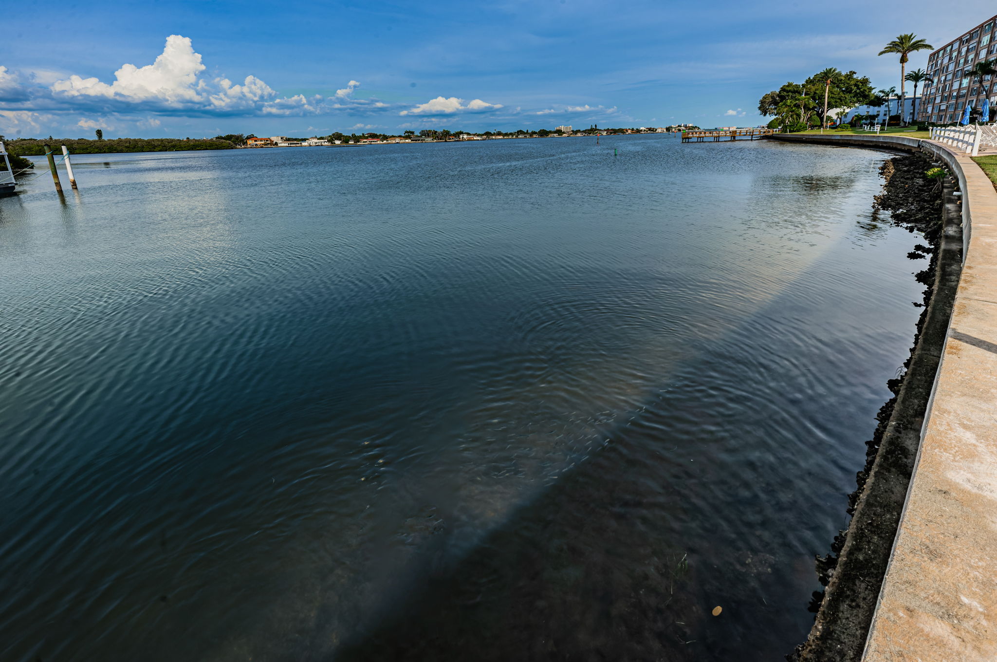 Backyard Water View1