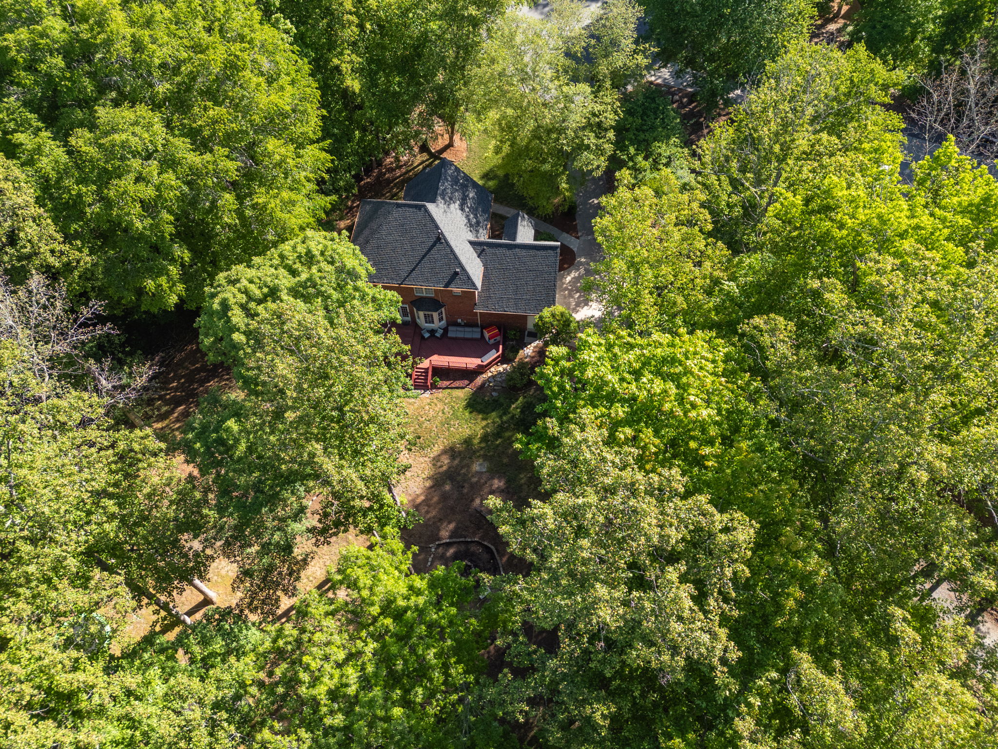 1819 Wild Fern Dr-63