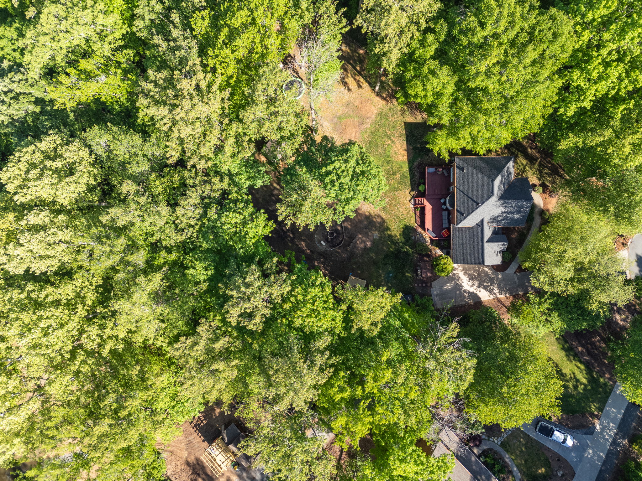 1819 Wild Fern Dr-64