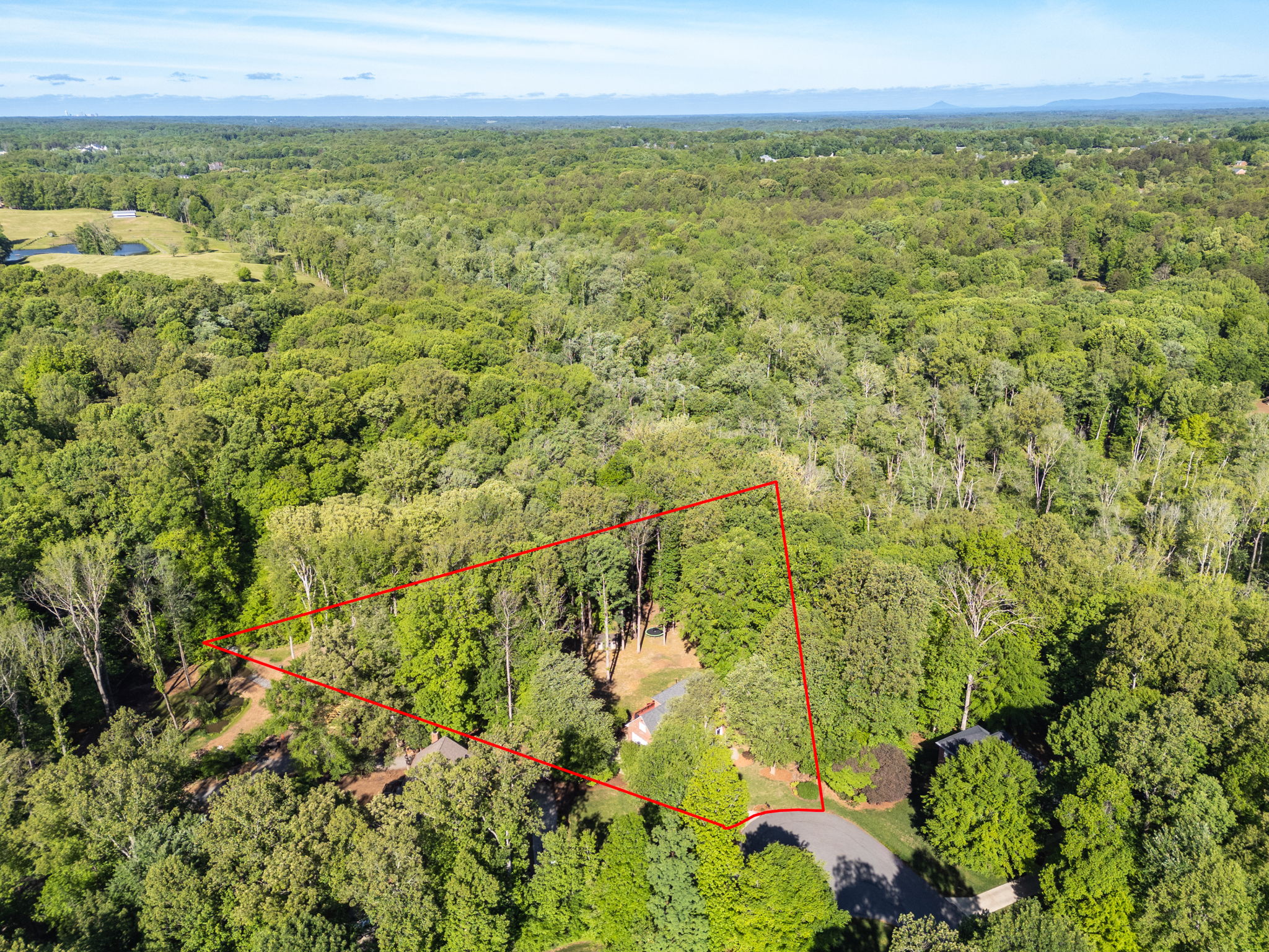 1819 Wild Fern Dr-70