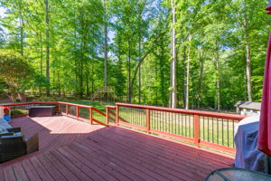 1819 Wild Fern Dr-47