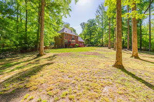 1819 Wild Fern Dr-58