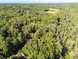 1819 Wild Fern Dr-65