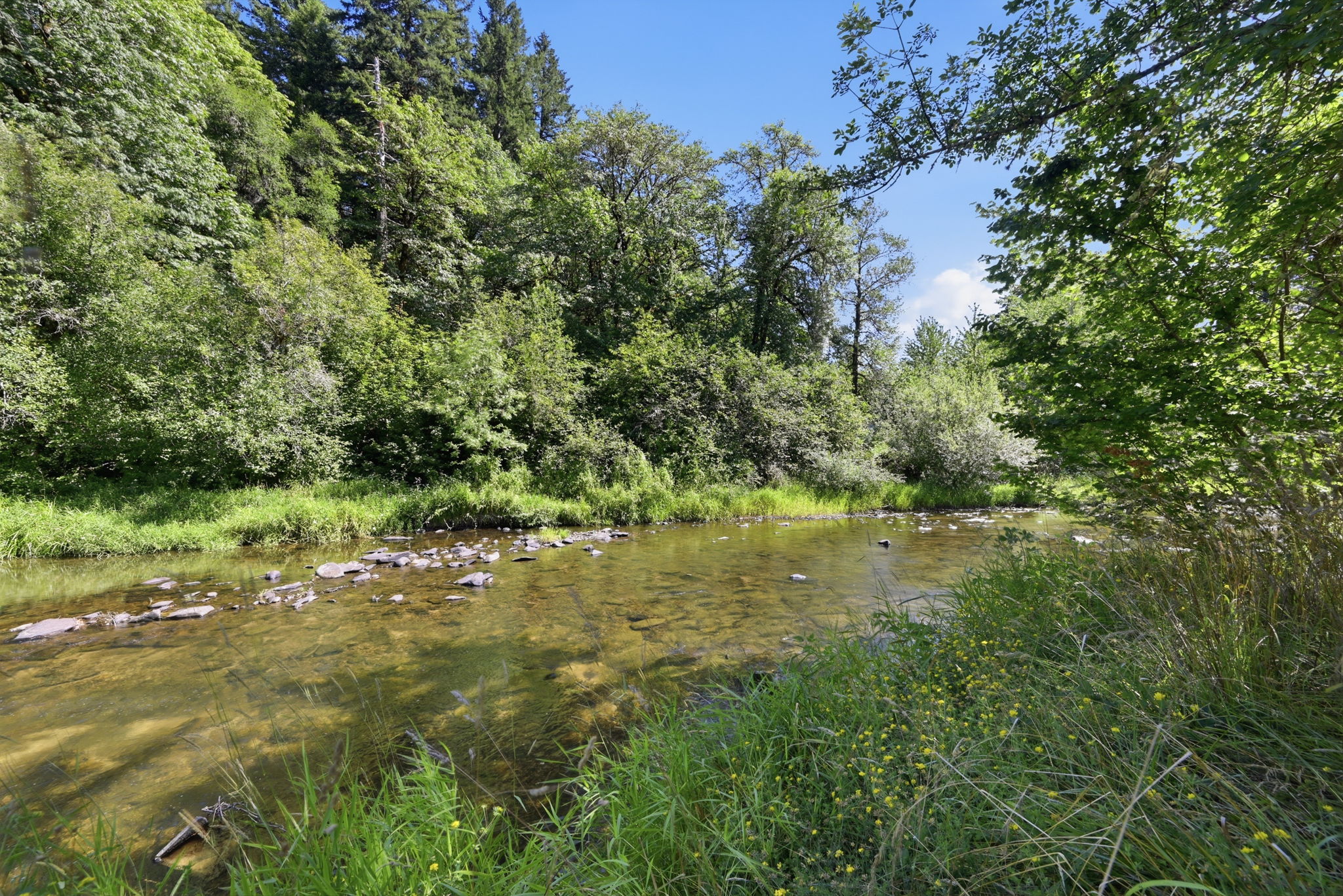  Photo 49