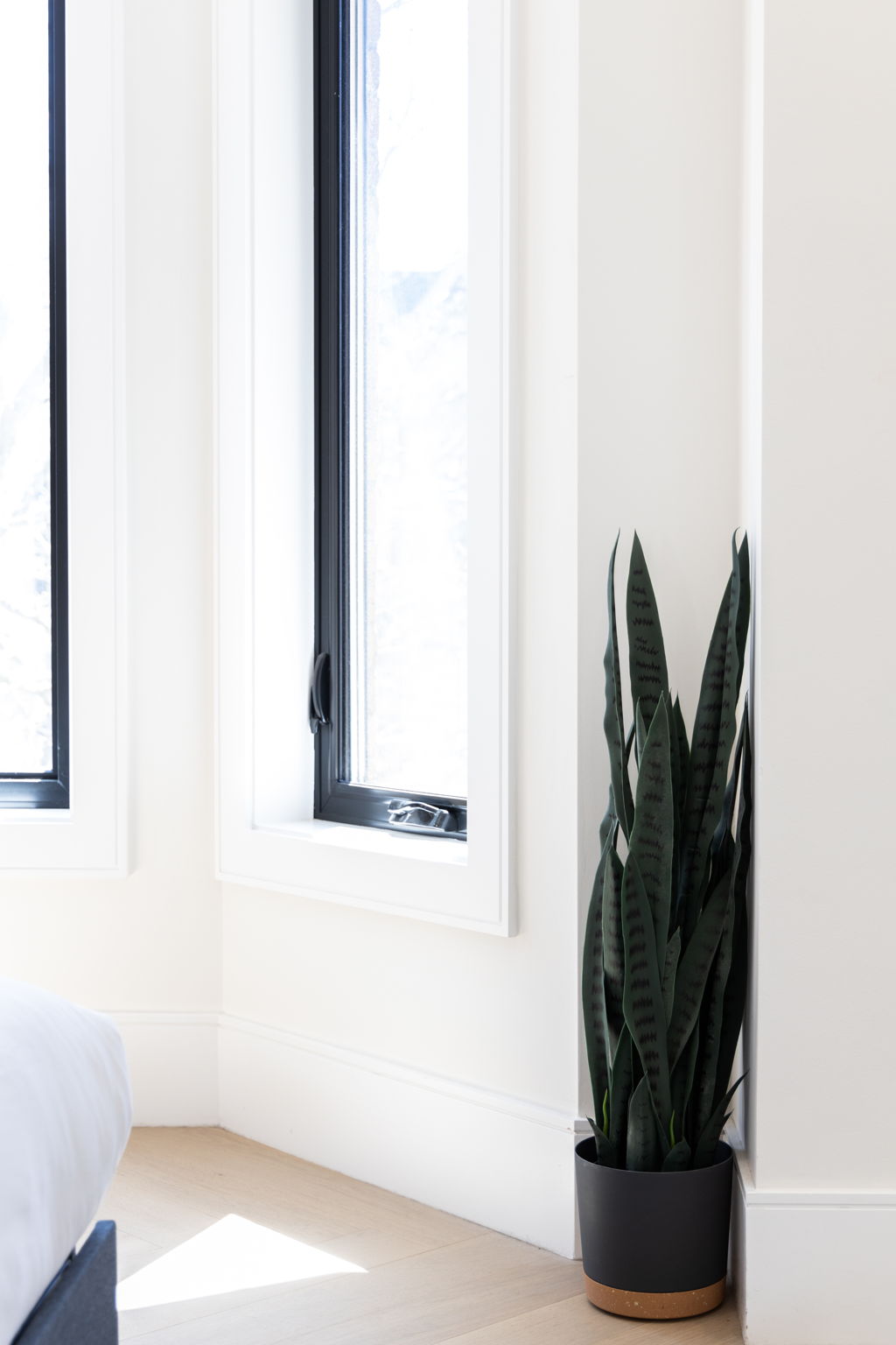 Toronto property showcase — delivered property photograph 37