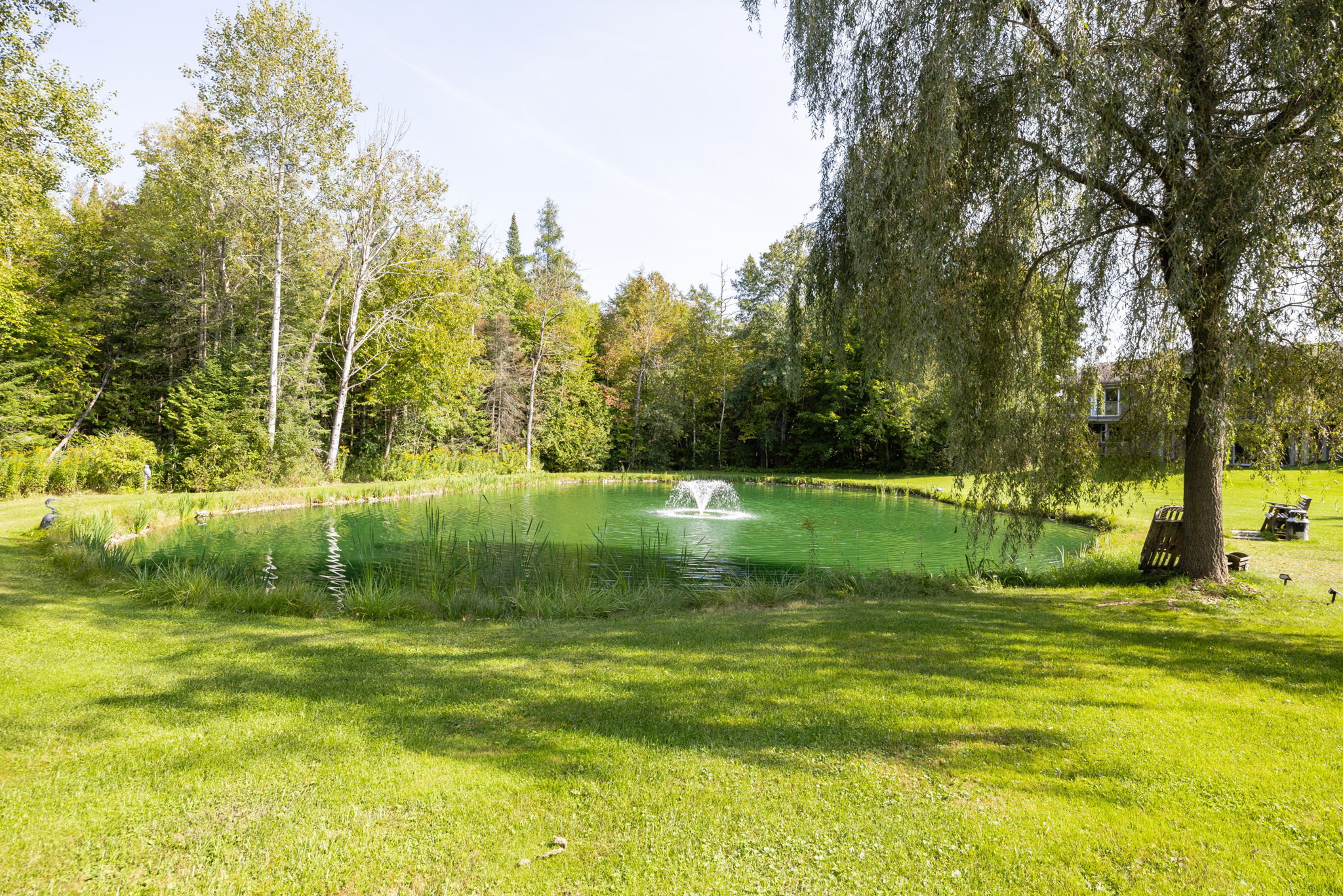 Uxbridge property showcase — delivered property photograph 35
