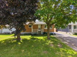  Photo 38